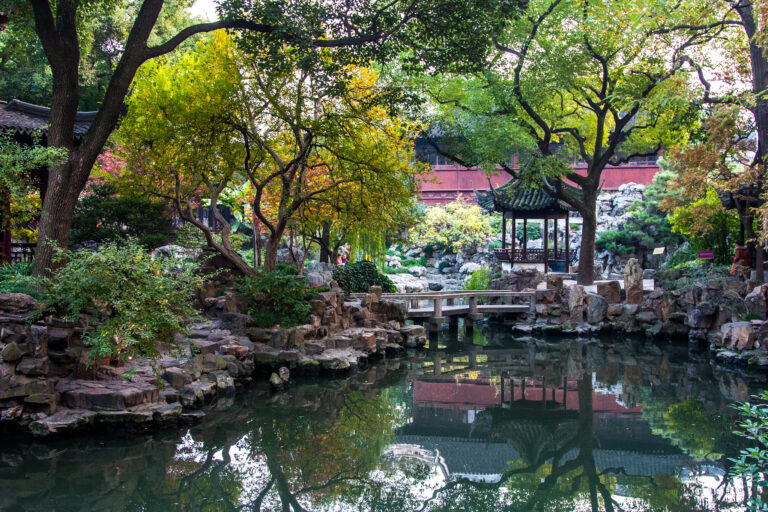China Rose Symbolism: Complete Guide to Chinese Cultural Significance